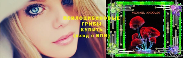 прущие крисы Надым